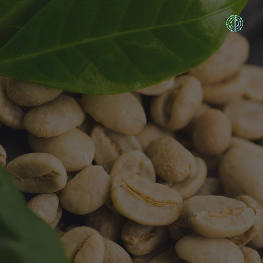 Beneficios del Café Verde - Empowermind