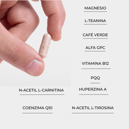 POWER - Nootropic for energy and focus