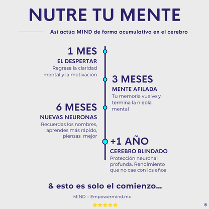 POWER + MIND