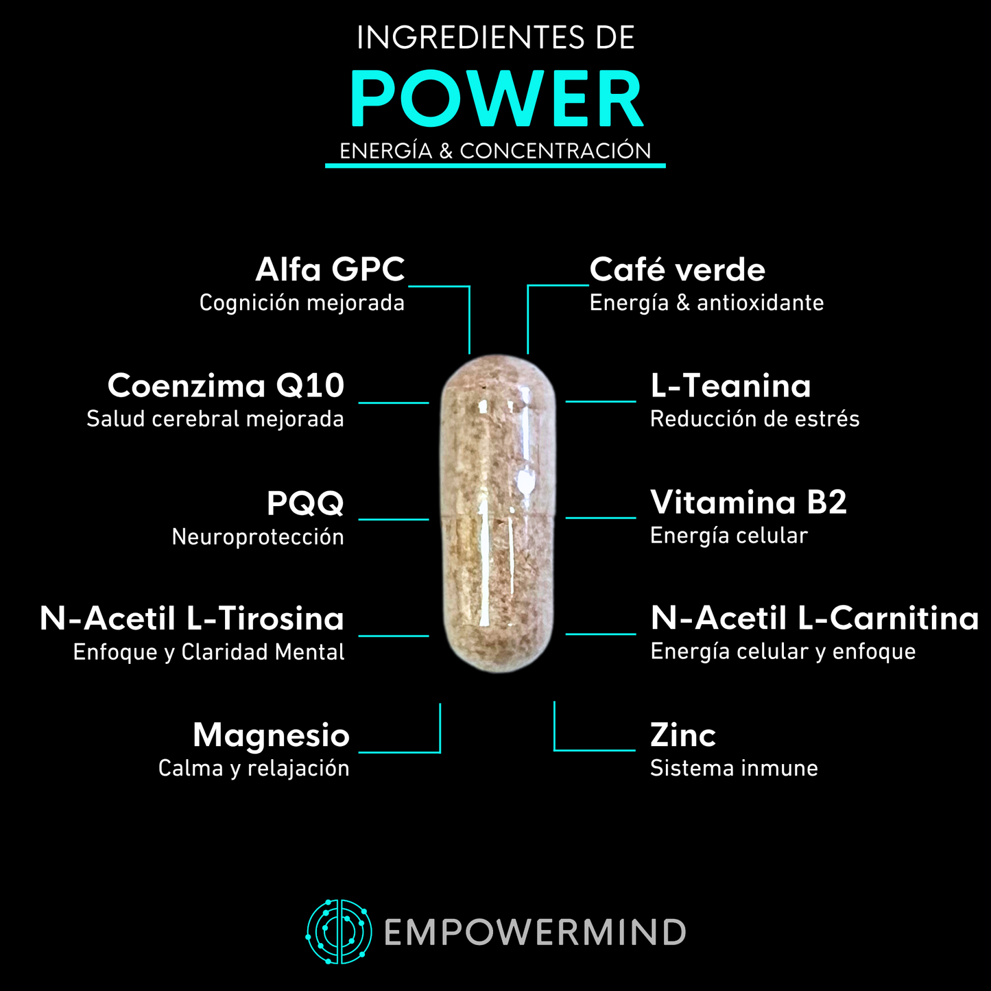 POWER - Nootropic for energy and focus